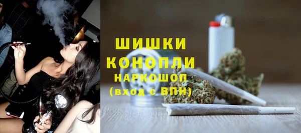сатива Аркадак