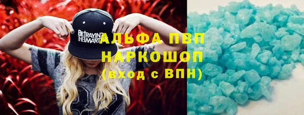 сатива Аркадак