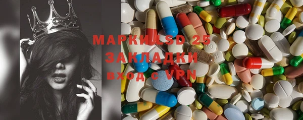 сатива Аркадак