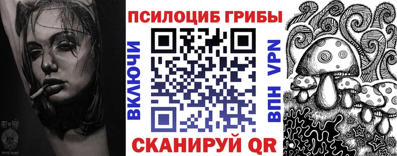 Галлюциногенные грибы Psilocybe  купить   Балтийск 
