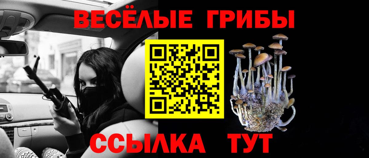Балтийск  Псилоцибиновые грибы прущие грибы  Вход с VPN 